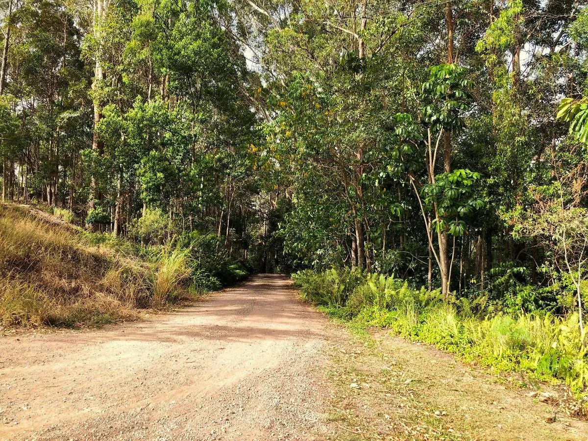 Eumundi Cottage In Town